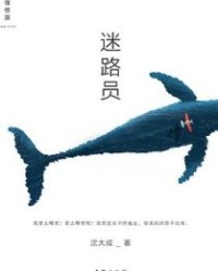 迷路员【沈大成】epub+mobi+azw3