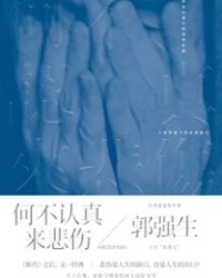 何不认真来悲伤【郭强生】epub+mobi+azw3