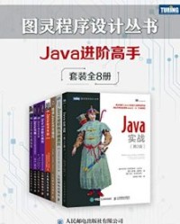 图灵程序设计丛书：Java进阶高手（套装共8册）【沃伯顿, 埃文斯等】epub+mobi+azw3