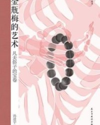 金瓶梅的艺术【孙述宇】epub+mobi+azw3