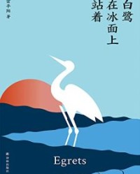 白鹭在冰面上站着【雷平阳】epub+mobi+azw3