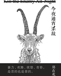 今夜通宵杀敌【郑在欢】epub+mobi+azw3