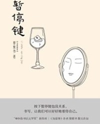 暂停键【黎紫书】epub+mobi+azw3